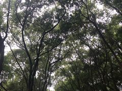 -上海市保健医疗中心(华东疗养院)