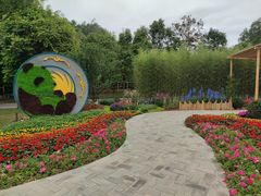 -深圳仙湖植物园