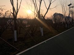 -洨河生态公园