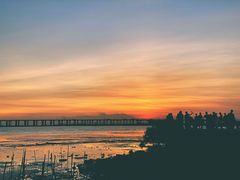 -宝安西湾红树林湿地公园