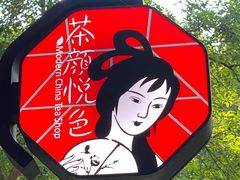 -茶颜悦色(岳麓山顶店)