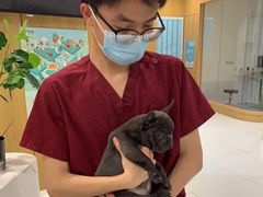 -北京恒爱动物医院(清景园分院)