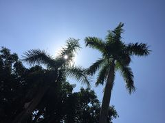 -佛山祈福仙湖酒店