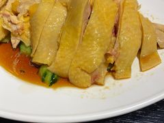 -Asianplus海蓝鸡饭