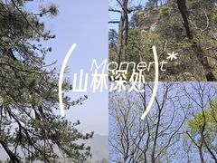 -武当山风景区