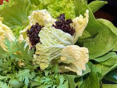 -草原塞蛮羊火锅城(港湾店)