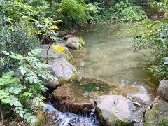 -中国茶叶博物馆(双峰馆区)