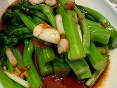 -粤珍轩·家宴·广式茶点(新城广场店)