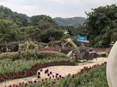 -广东天露山旅游度假区
