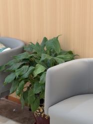 -上海伊莱美医疗美容医院