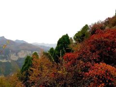 -山西壶关太行山大峡谷旅游景区