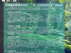 -西双版纳原始森林公园