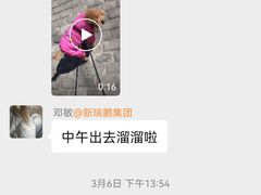 -美联众合动物医院·24h转诊中心