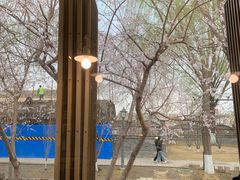 -春风习习