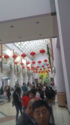 -上海交通大学医学院附属上海儿童医学中心(陆家嘴总院区)