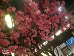 -吴莊(龙城万科里店)