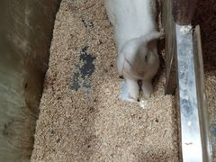 -上海大自然野生昆虫馆