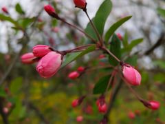 -蜀冈西峰生态公园