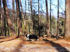 -硗碛藏寨·神木垒景区