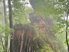 -五女峰国家森林公园