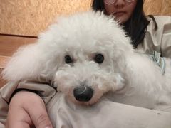 -和它·交个朋友·狗咖猫咖(爱琴海店)