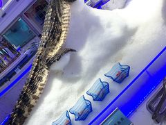 -澜悦港海鲜体验主题餐厅