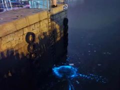 -日照世帆赛基地