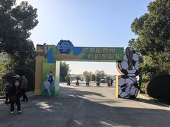 -溱湖国家湿地公园