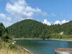 -武陵山森林公园