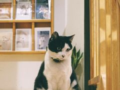 -猫的天空之城概念书店(杭州南宋御街店)