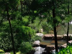 -云溪植物园