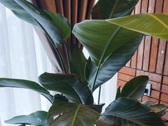 -泰合玺·精油疗愈SPA(狮山天街生活广场店)