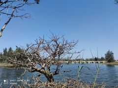 -五里桥文化公园-西侧停车场