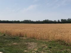 -汉长安城未央宫国家考古遗址公园