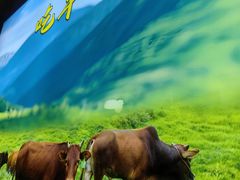 -乡土黄·鲜牛肉火锅·小龙虾(兴业街店)