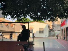 -长洲岛