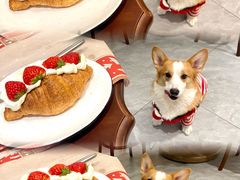 -艾蜜西餐厅(梅园店)