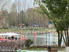 -宁波儿童公园(鄞州区)