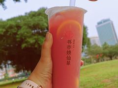 -万绿园