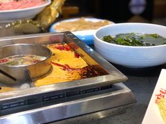 海带芽-蜀江龙火锅(339店)