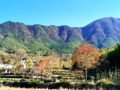 -塔川景区