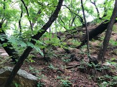 -井塘古村