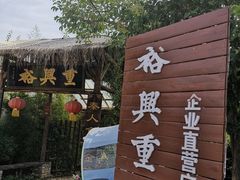 -茯茶镇