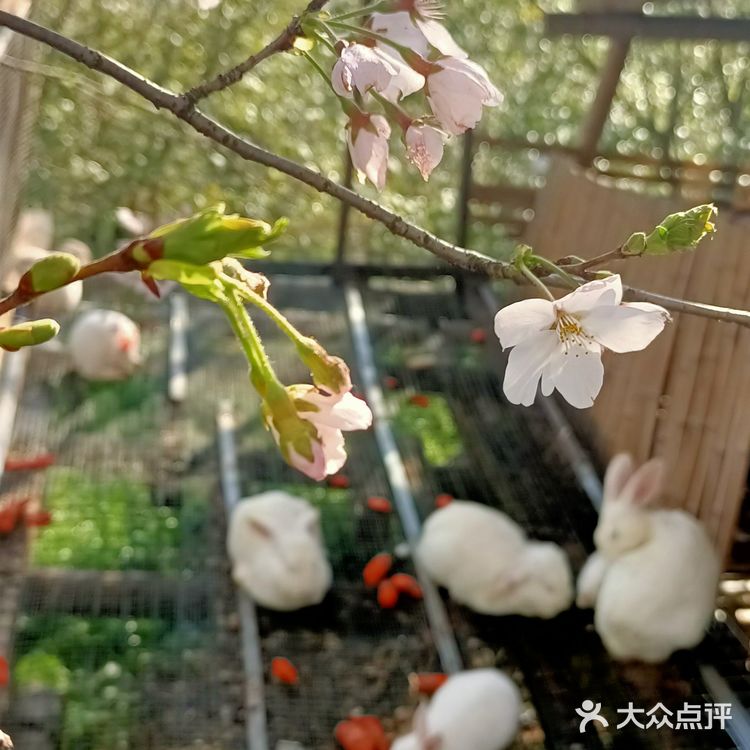 趁着蓝天去就对了