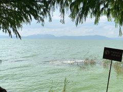 -捞渔河湿地公园