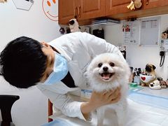 -美联众合动物医院·24h转诊中心