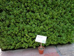 -上海多利农业发展有限公司