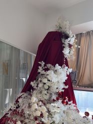 -ST时柒·问题肌抗衰美颜所