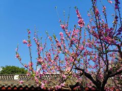 -乌山风景区