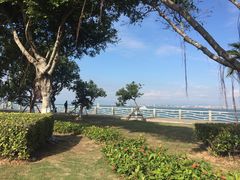 -厦门五通客运码头